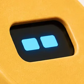 Rectangle 51